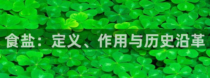 78mapp威九国际最新版：食盐：定义、作用与历史沿革