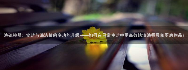 威九国际：洗碗神器：食盐与洗洁精的多功能升级——如何在日常生