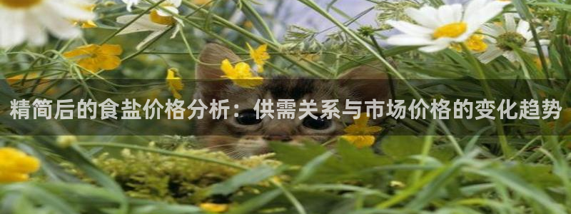 威九国际78mB官网版
