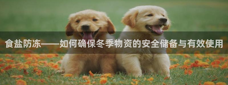 威九国际官方入口：食盐防冻——如何确保冬季物资的安全储备与有